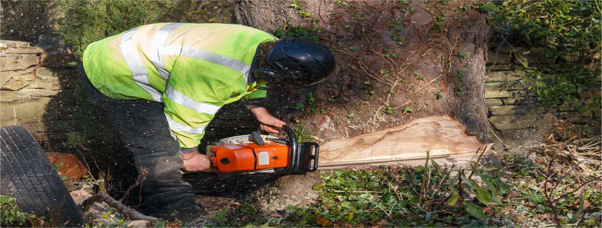We provide tree removal in tight spaces
services since 2008