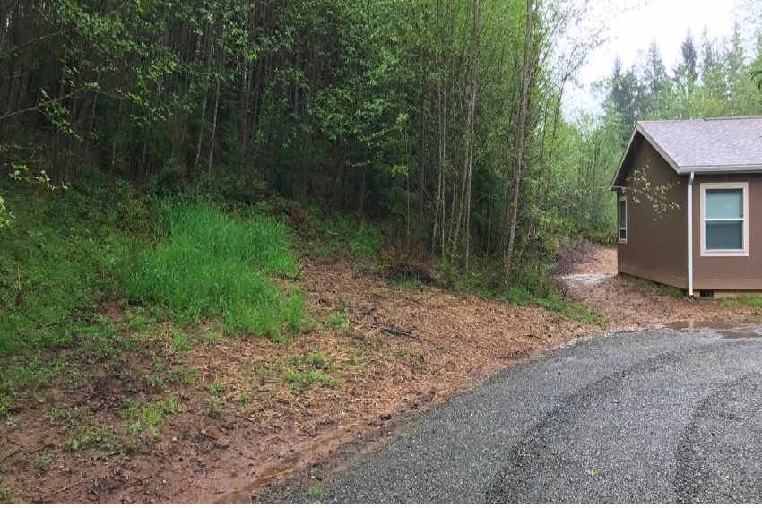 Lot Clearing Tree Removal Services